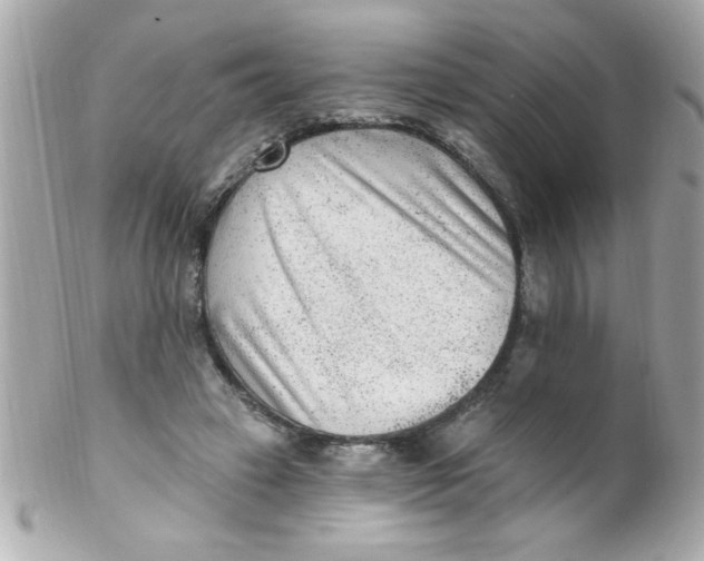 X0000102310449200808152045
