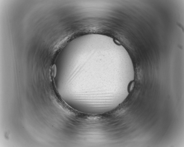 X0000102310450200808152045