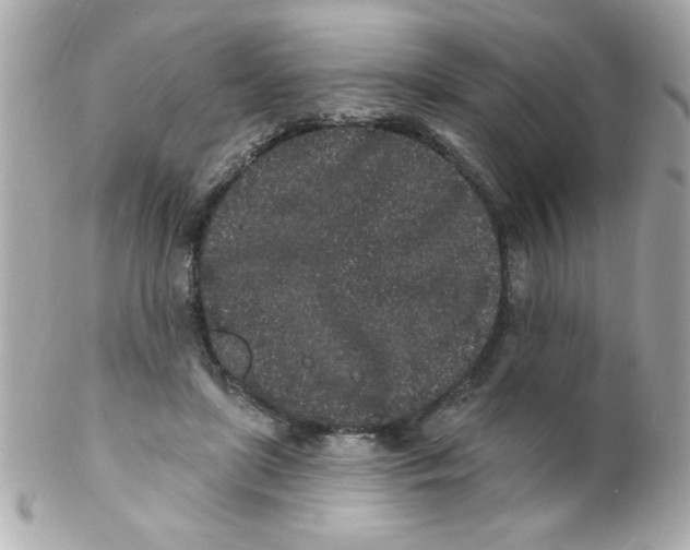 X0000102310451200808152045