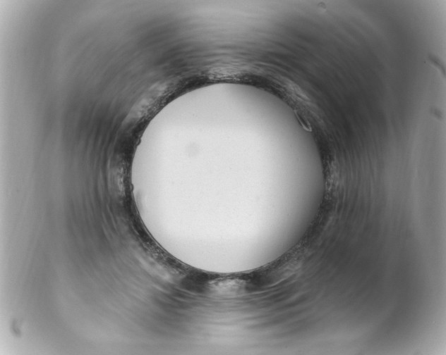 X0000102310452200808152045