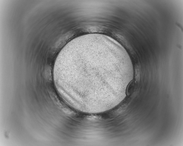 X0000102310453200808152045