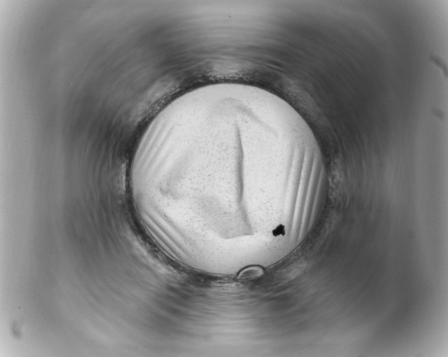 X0000102310454200808152045