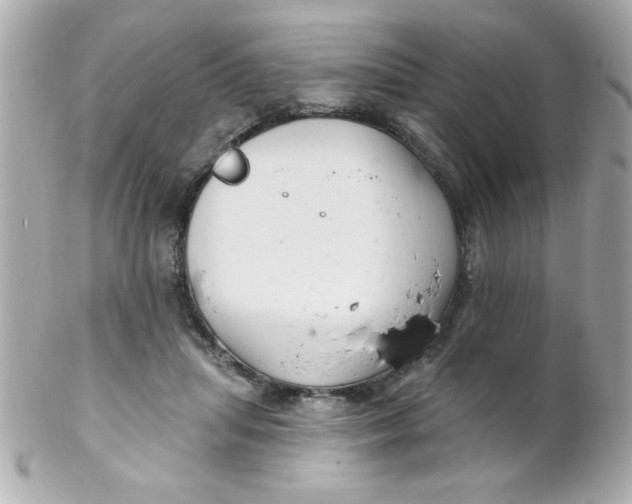 X0000102310455200808152045
