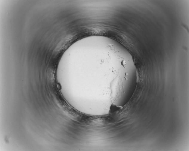 X0000102310456200808152045