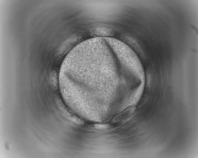 X0000102310457200808152045