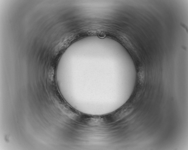 X0000102310458200808152045