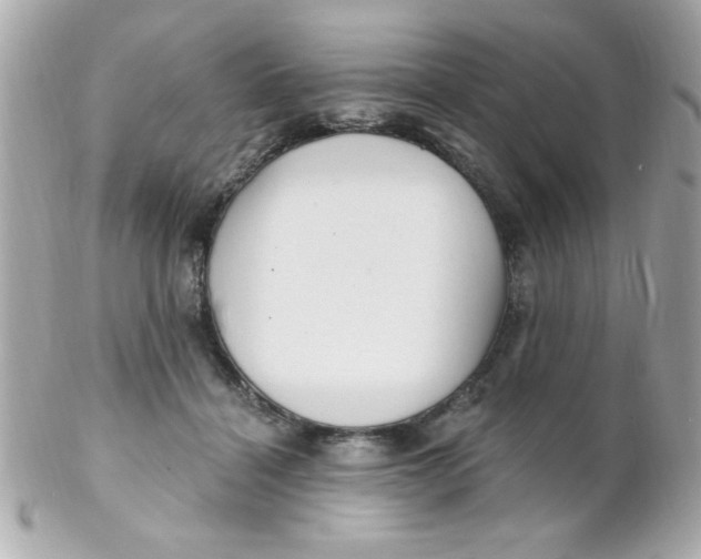 X0000102310460200808152045