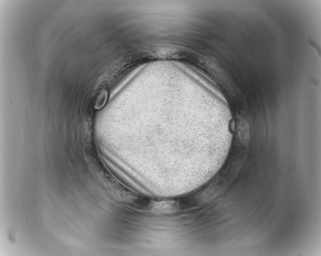 X0000102310461200808152045