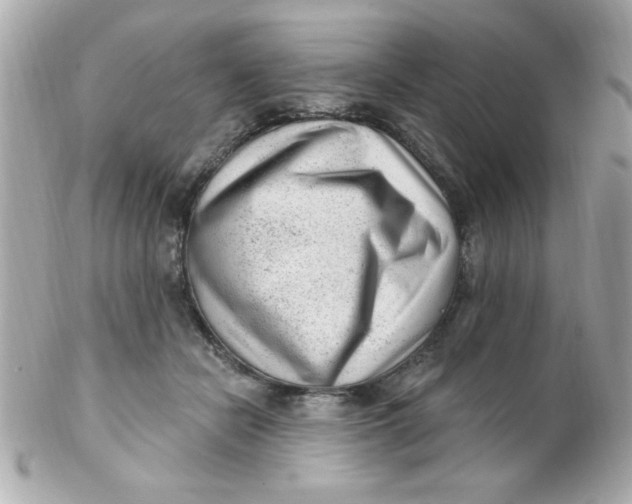 X0000102310462200808152045