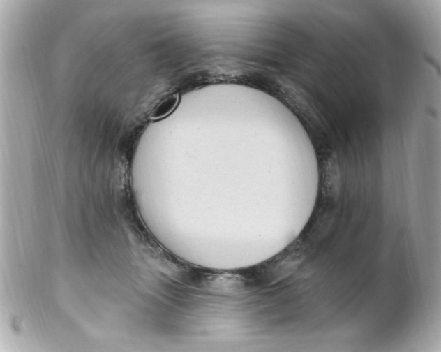 X0000102310463200808152045