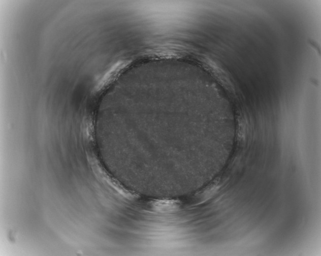 X0000102310465200808152046
