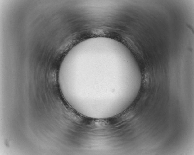 X0000102310466200808152046