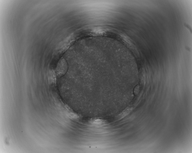 X0000102310467200808152046