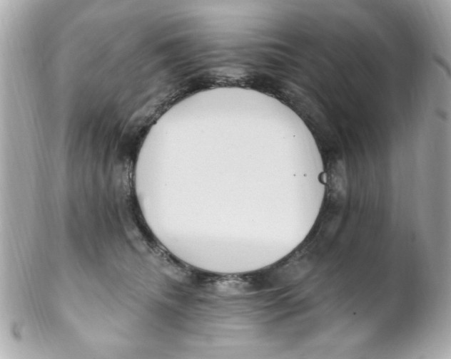 X0000102310468200808152046