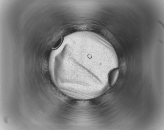 X0000102310469200808152046