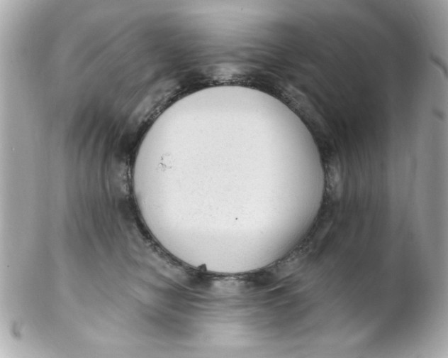 X0000102310470200808152046