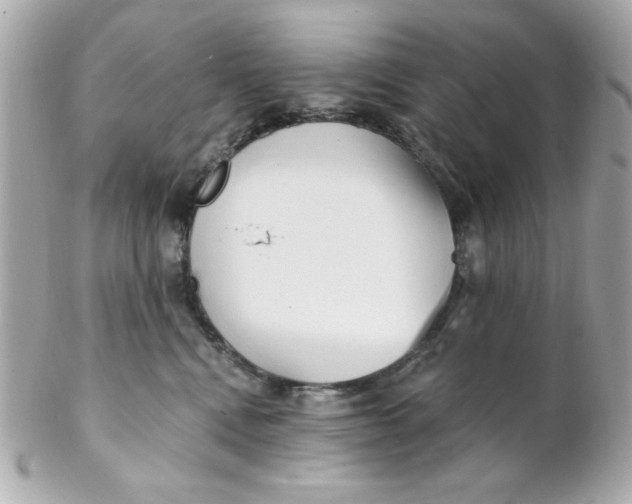 X0000102310472200808152046