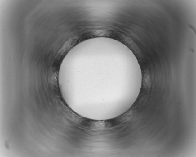 X0000102310473200808152046