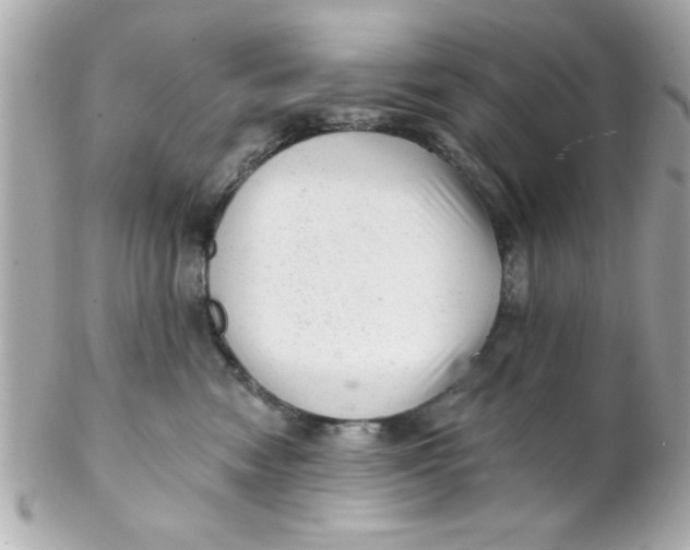 X0000102310474200808152046