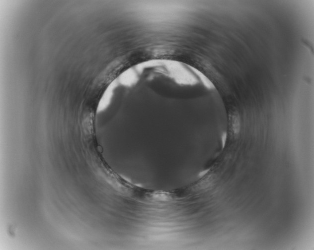X0000102310475200808152046