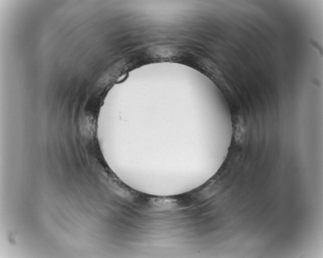 X0000102310476200808152046