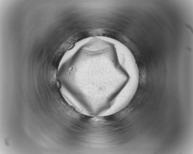 X0000102310477200808152046