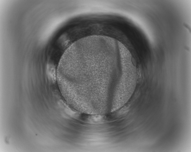 X0000102310479200808152046