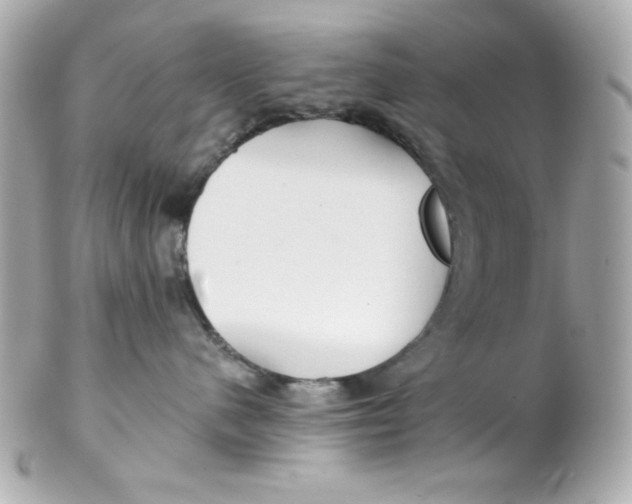 X0000102310480200808152046