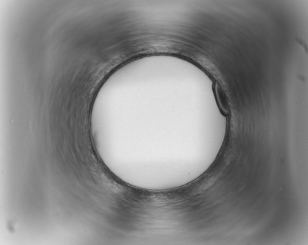 X0000102310481200808152045
