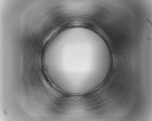X0000102310482200808152045