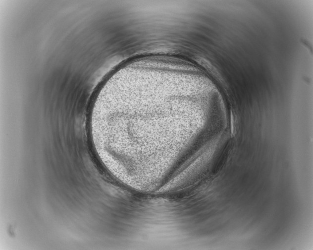 X0000102310483200808152045