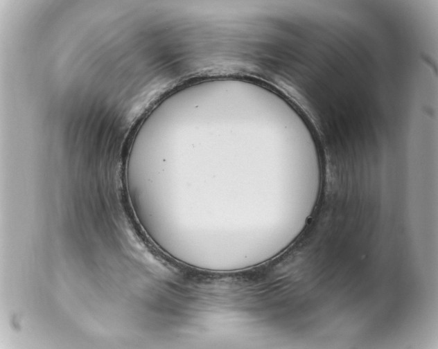 X0000102310485200808152045