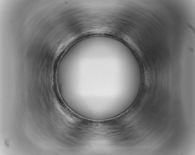 X0000102310486200808152045