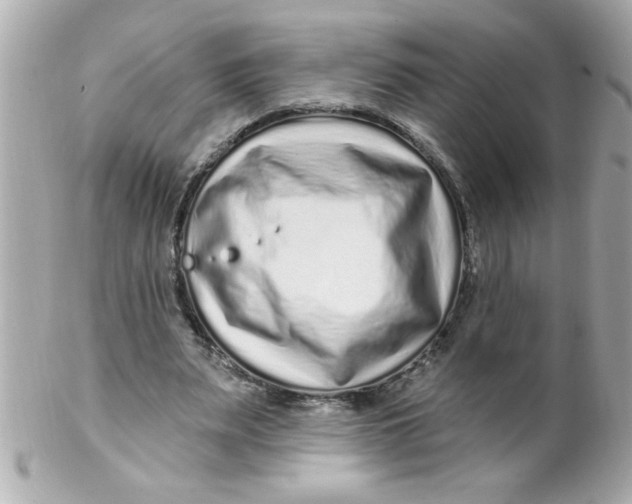 X0000102310487200808152045