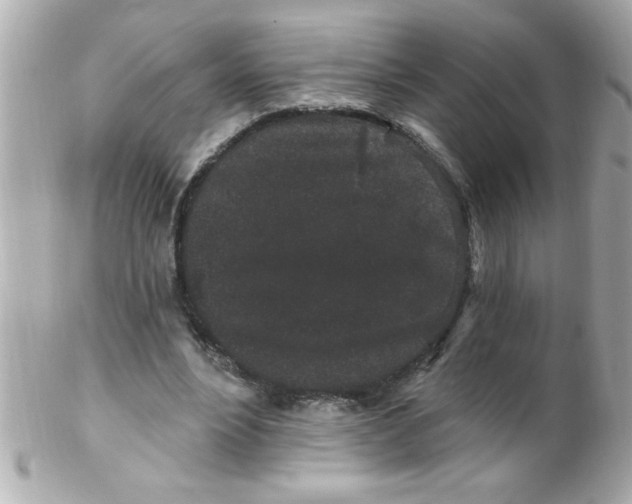 X0000102310488200808152045