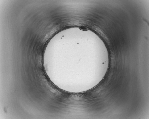 X0000102310489200808152045
