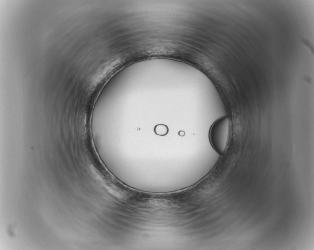 X0000102310490200808152045