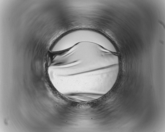 X0000102310491200808152045