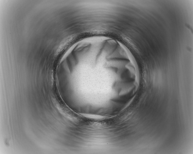 X0000102310494200808152045
