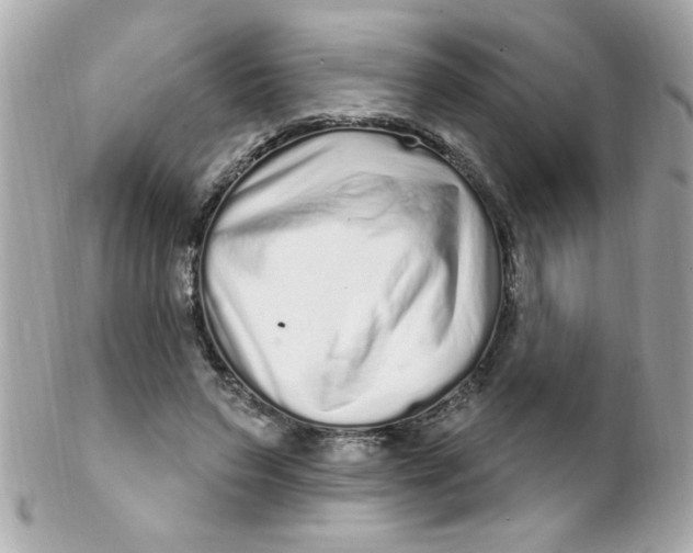 X0000102310495200808152045