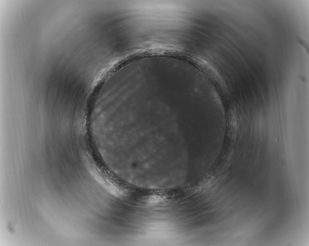 X0000102310496200808152045