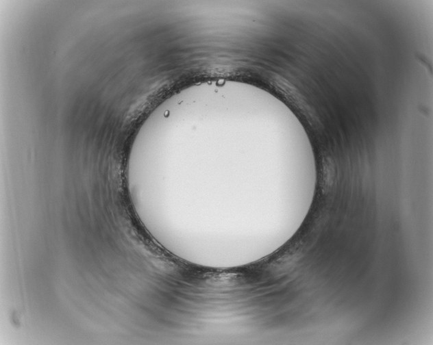 X0000102310497200808152045