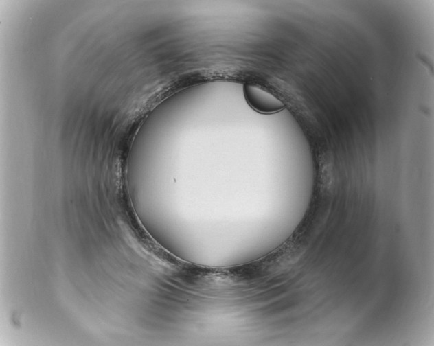 X0000102310498200808152045