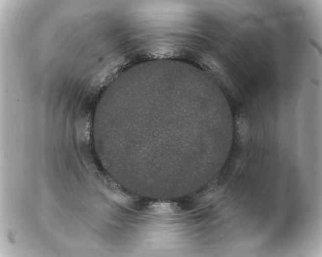 X0000102310499200808152045