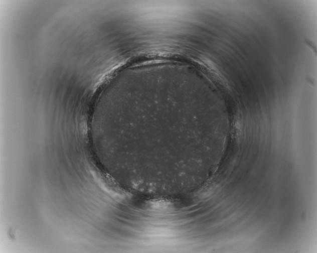 X0000102310500200808152045