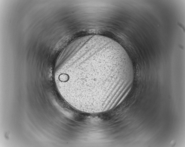 X0000102310502200808152045
