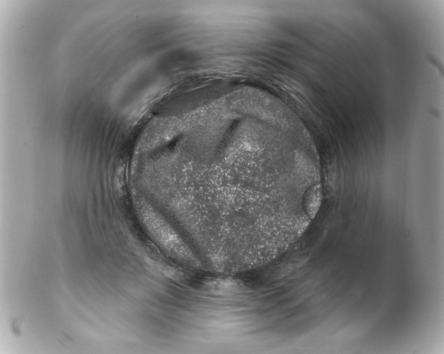 X0000102310503200808152045