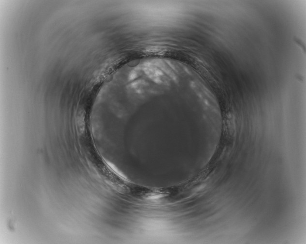 X0000102310504200808152045
