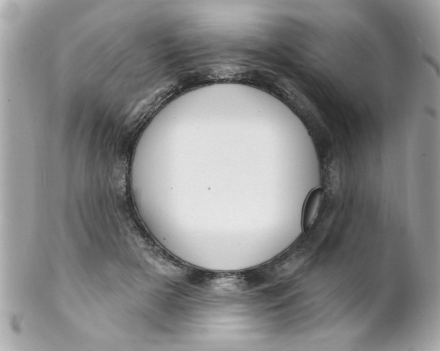 X0000102310505200808152045