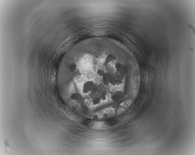 X0000102310507200808152045